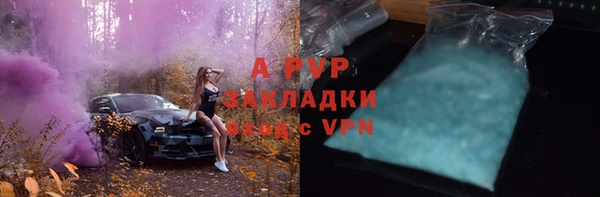 ALPHA PVP Гусев