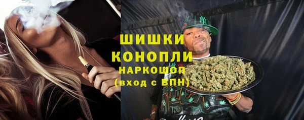 ALPHA PVP Гусев