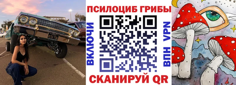 Псилоцибиновые грибы Magic Shrooms  Купить где  Гатчина 